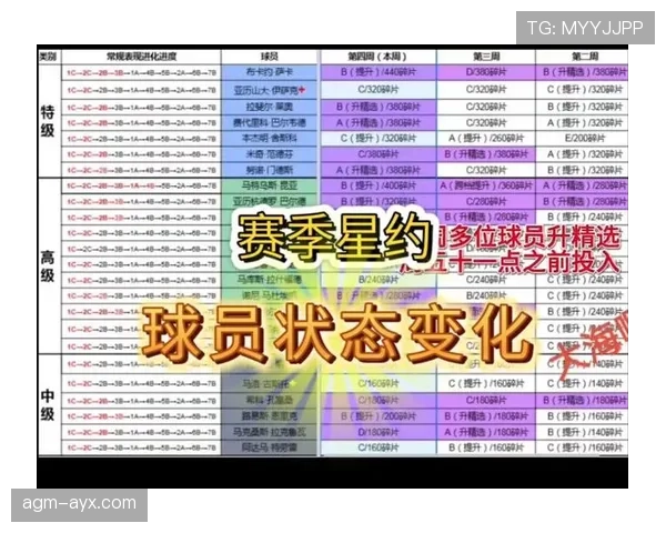 球员评分系统在本赛季应用中的表现与优化方向