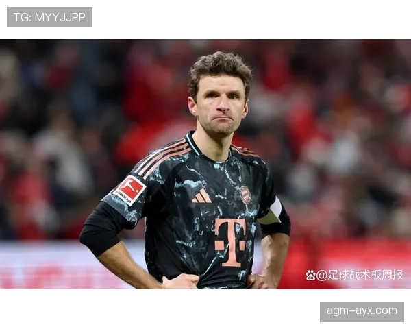 穆勒战术适配性