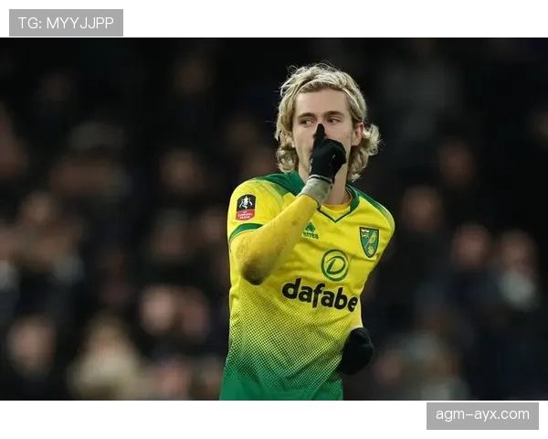 米德尔斯堡欧战梦：近期表现稳健，竞争力持续提升