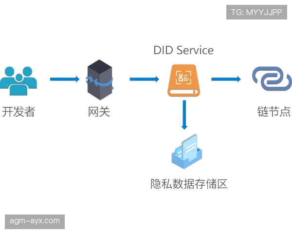 琼阿梅尼依赖体系程度分析:战术角色与中场结构适配性探讨 琼阿梅尼依赖体系程度分析:战术角色与中场结构适配性探讨